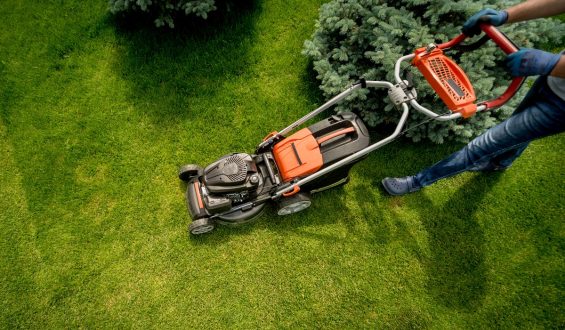Jak i kiedy należy kosić trawnik?