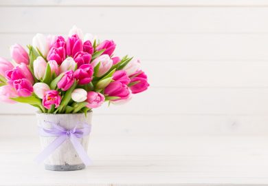 Jak przedłużyć świeżość ciętych kwiatów?