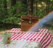 Przekąski na letni piknik
