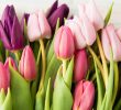Tulipany silikonowe – jakie wyjątkowe dekoracje DIY można z nich zrobić?