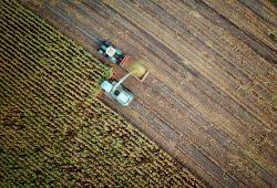 Nowoczesne gospodarstwo rolne – co ułatwia jego prowadzenie?