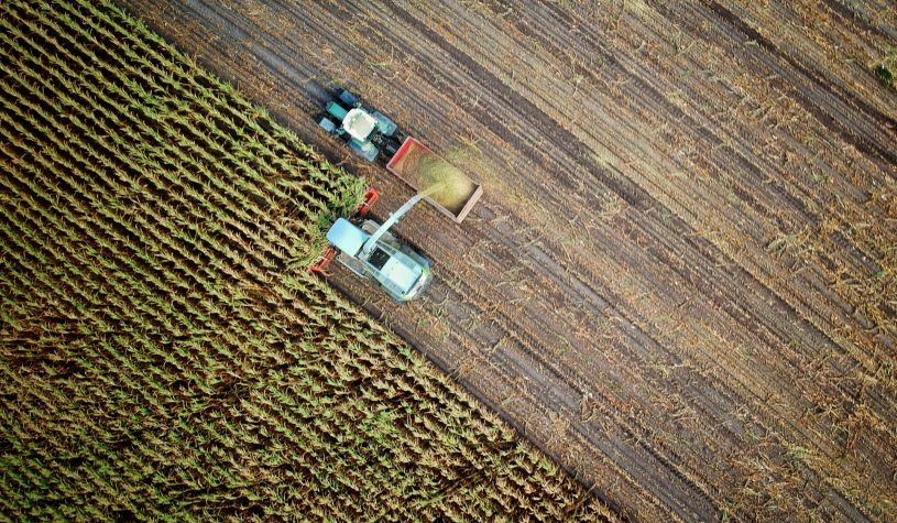 Nowoczesne gospodarstwo rolne – co ułatwia jego prowadzenie?
