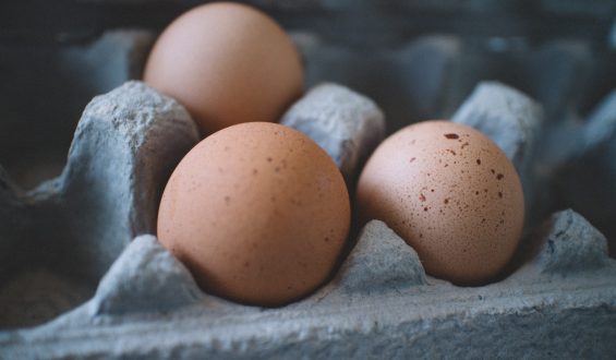 Jak kupować dobrej jakości jajka?